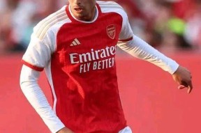 亚博体育-包含Ming迎来十五赛季高光表现，阿森纳球迷沸腾！的词条