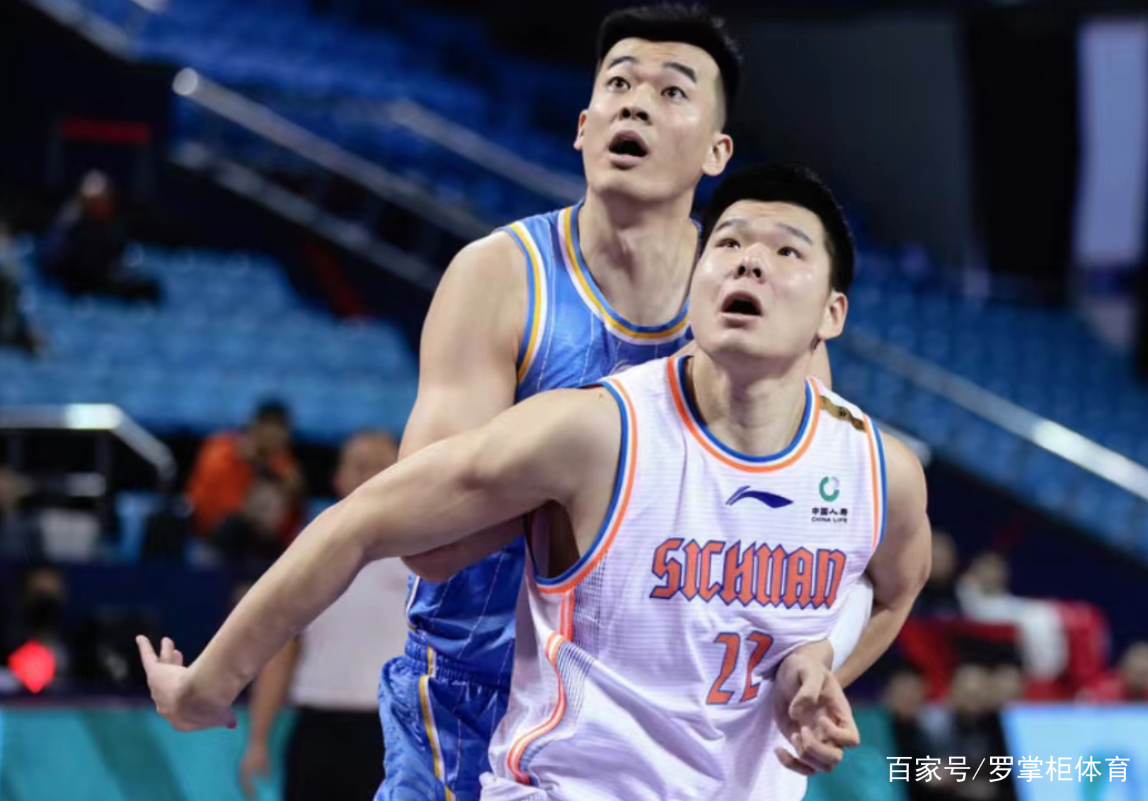 剑门暴熊队对阵岭东雪豹队，足球半决赛失利，内线统治篮板——外援联手发威(铁道游击队芳林嫂)